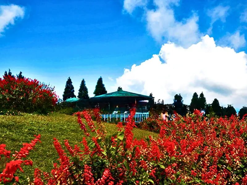 Kalimpong family holiday